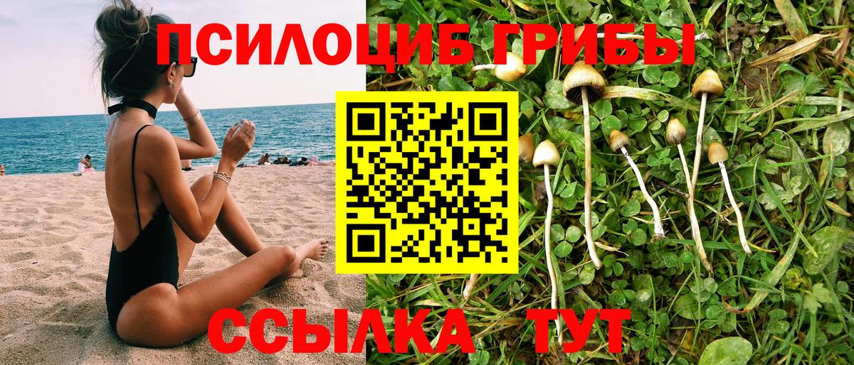 Псилоцибиновые грибы ЛСД Рыбинск